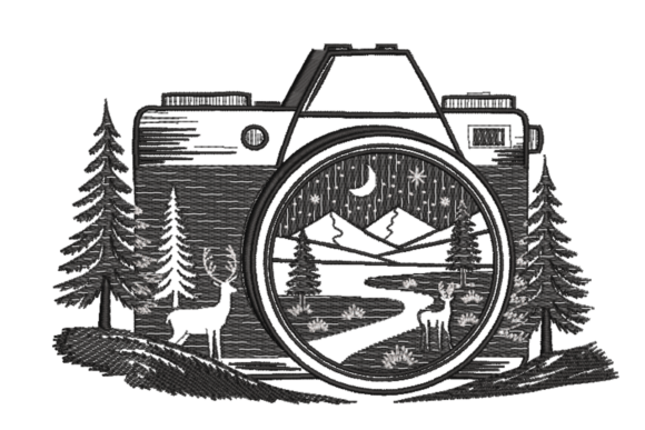 Camera Nightscape with Deer – Adventure Review