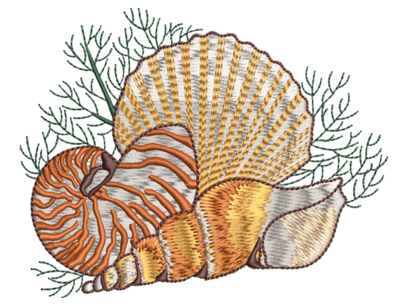 Coastal Seashell Design: A Designer Review
