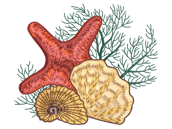 Red Starfish Seashell: A Designer's Review